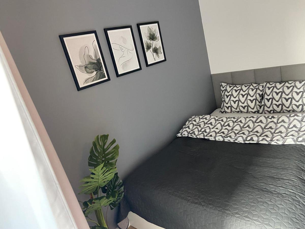 Krakow Dream Apartment المظهر الخارجي الصورة